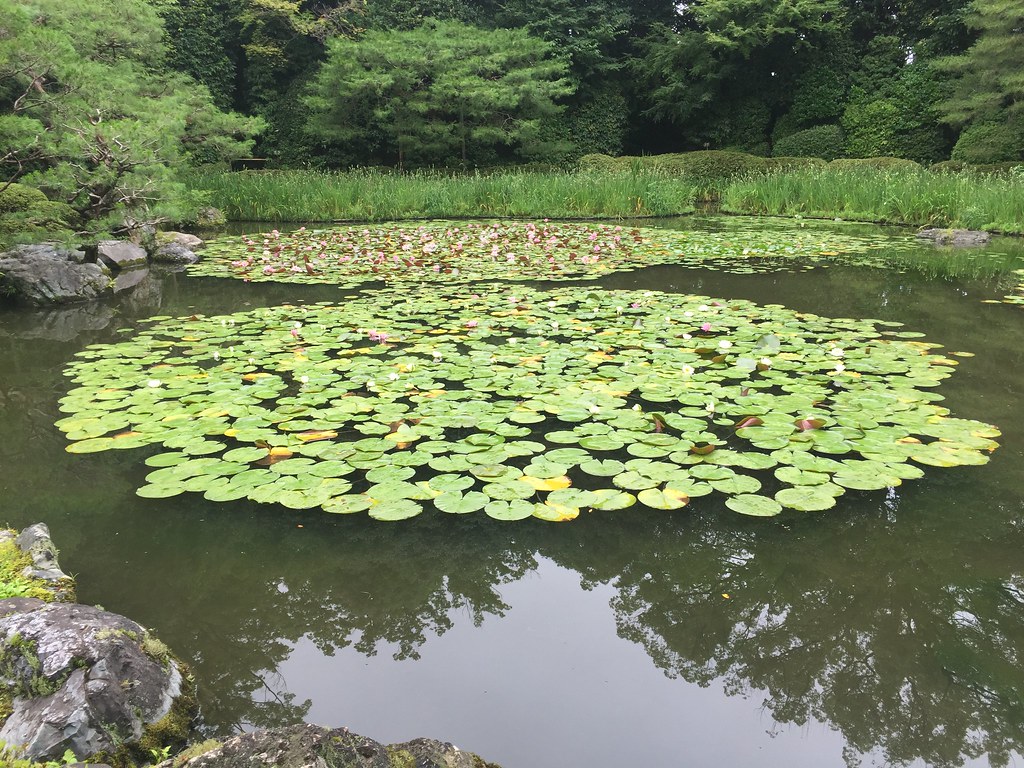 夏越の祓という、心のリセット